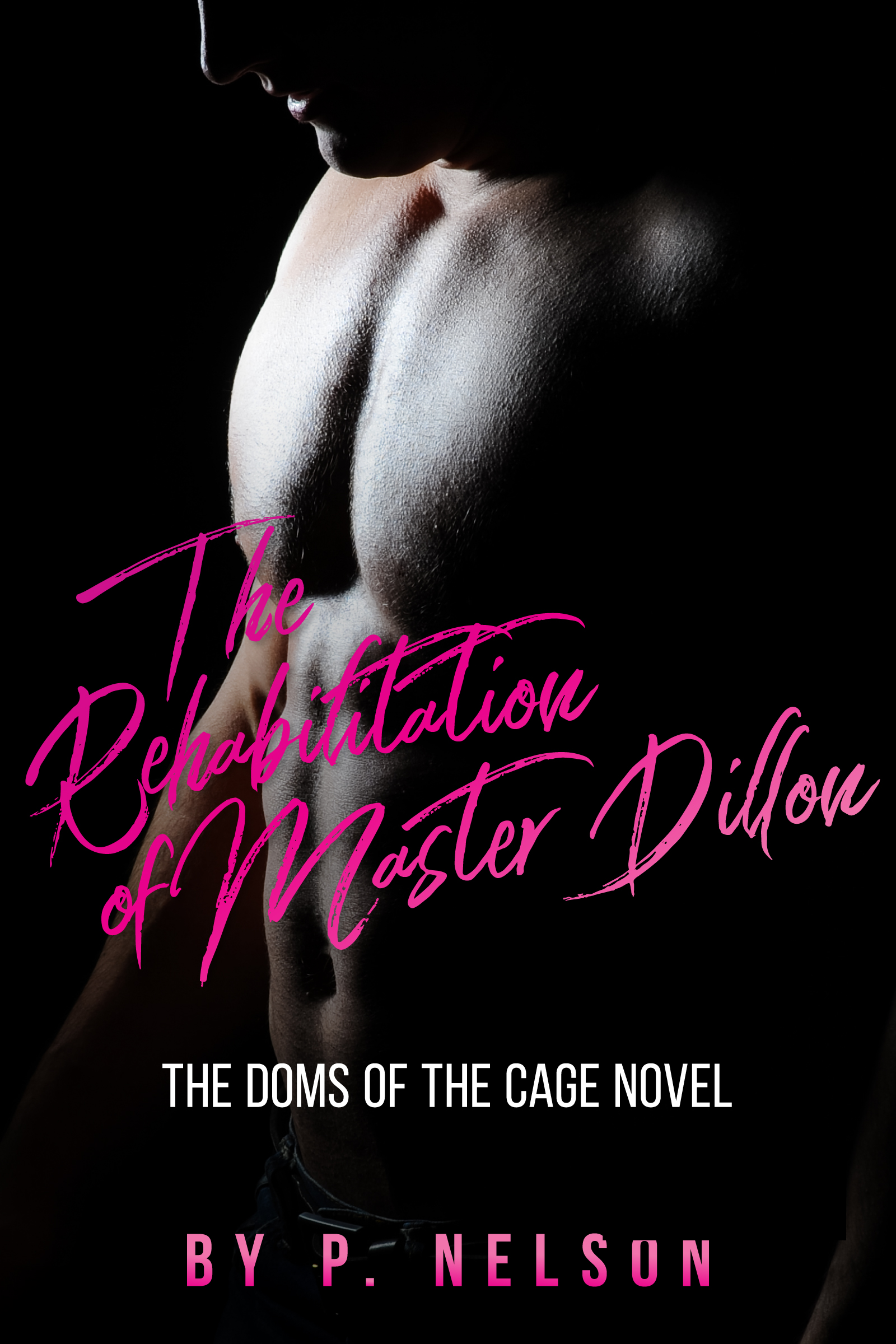 The Rehabilitation of Master Dillon cover